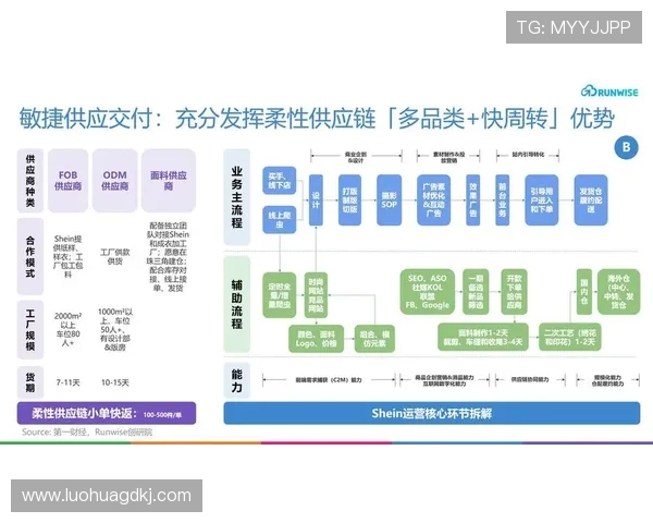 深入解析CFO与FNC在LCP与LEC体系中的战略定位与运营差异 深入解析CFO与FNC在LCP与LEC体系中的战略定位与运营差异