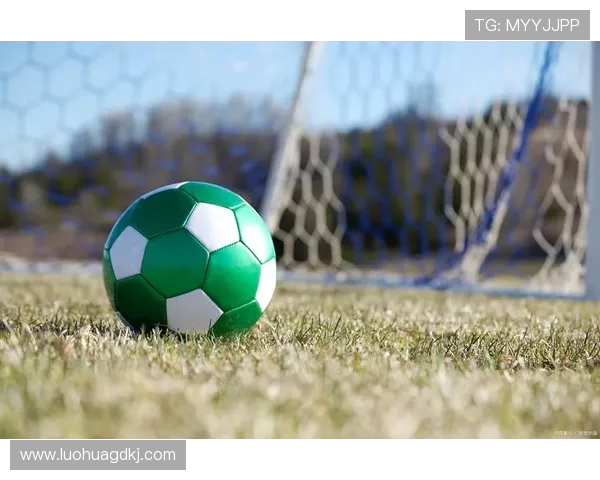 株洲足球队奋力崛起挑战中国足球新高度，未来可期